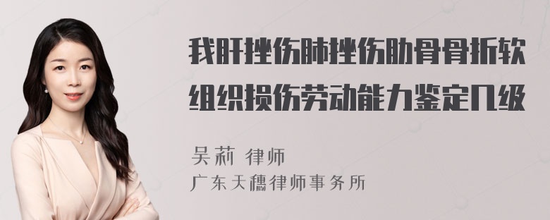 我肝挫伤肺挫伤肋骨骨折软组织损伤劳动能力鉴定几级