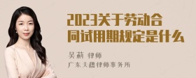 2023关于劳动合同试用期规定是什么