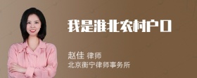 我是淮北农村户口