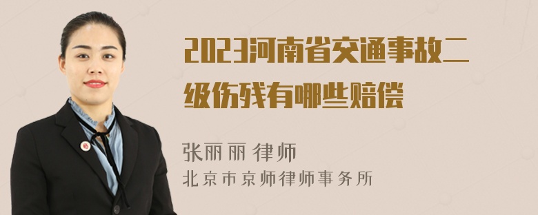 2023河南省交通事故二级伤残有哪些赔偿