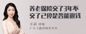 养老保险交了3年不交了已停是否能退钱