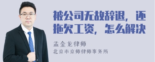 被公司无故辞退，还拖欠工资，怎么解决