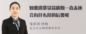 如果消费贷款逾期一直未还会有什么样的后果呢