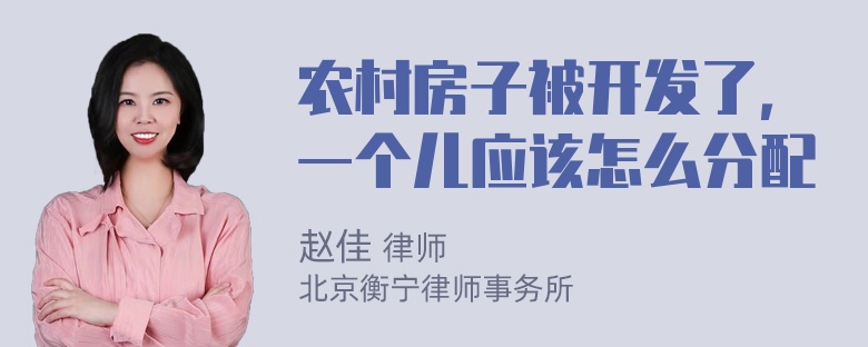 农村房子被开发了，一个儿应该怎么分配