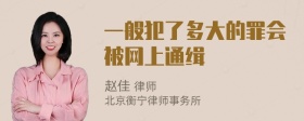 一般犯了多大的罪会被网上通缉