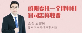 咸阳委托一个律师打官司怎样收费