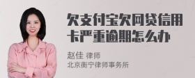 欠支付宝欠网贷信用卡严重逾期怎么办