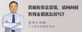 我最近资金紧张，请问向财务预支借条怎样写？