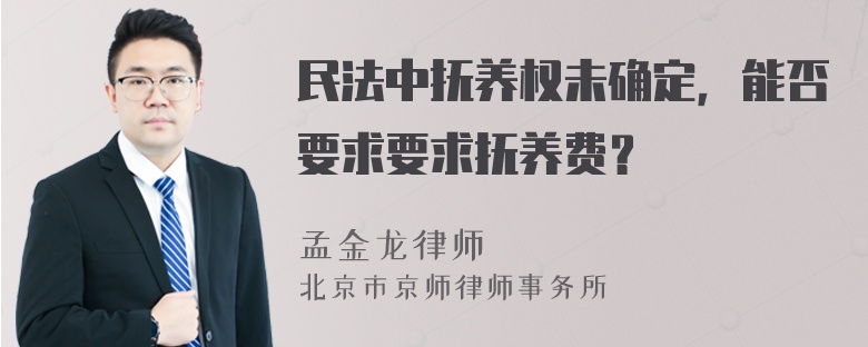 民法中抚养权未确定，能否要求要求抚养费？