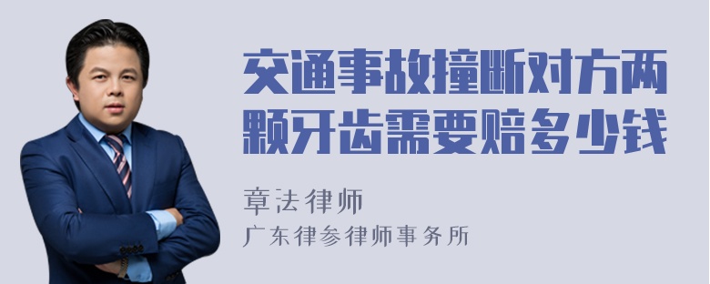 交通事故撞断对方两颗牙齿需要赔多少钱