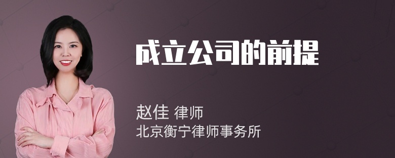 成立公司的前提