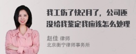 我工伤了快2月了，公司还没给我鉴定我应该怎么处理