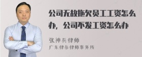 公司无故拖欠员工工资怎么办，公司不发工资怎么办