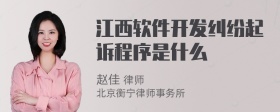 江西软件开发纠纷起诉程序是什么