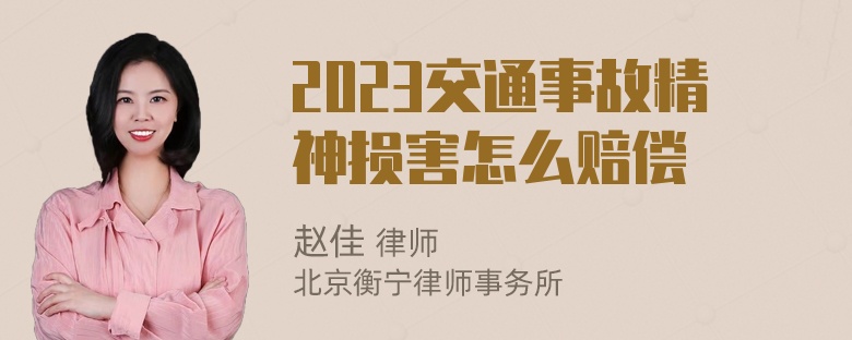 2023交通事故精神损害怎么赔偿