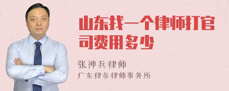 山东找一个律师打官司费用多少