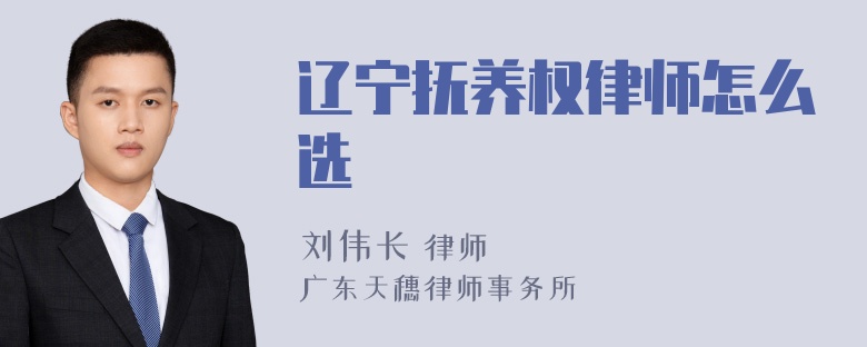 辽宁抚养权律师怎么选