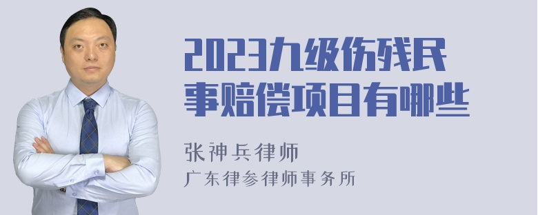 2023九级伤残民事赔偿项目有哪些