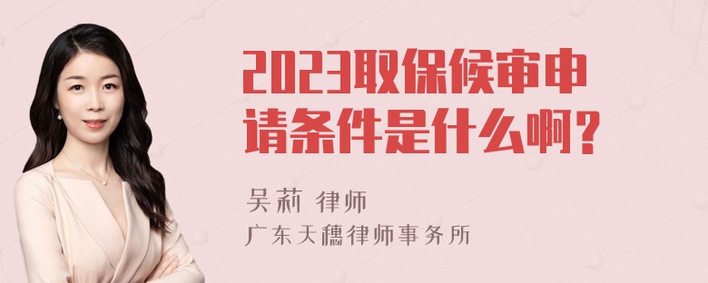 2023取保候审申请条件是什么啊？