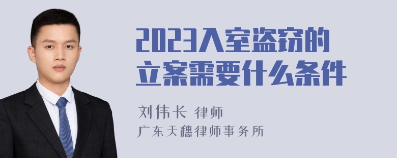 2023入室盗窃的立案需要什么条件