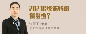 20236级伤残赔偿多少？