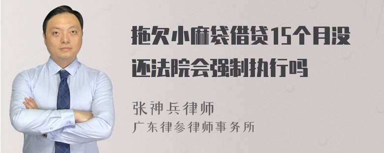 拖欠小麻袋借贷15个月没还法院会强制执行吗