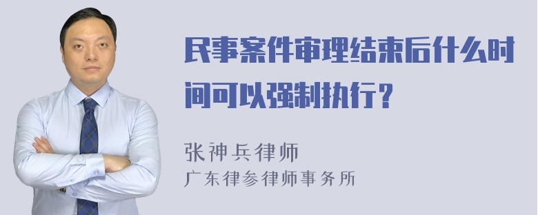 民事案件审理结束后什么时间可以强制执行？