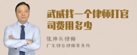 武威找一个律师打官司费用多少