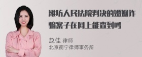 潍坊人民法院判决的婚姻诈骗案子在网上能查到吗