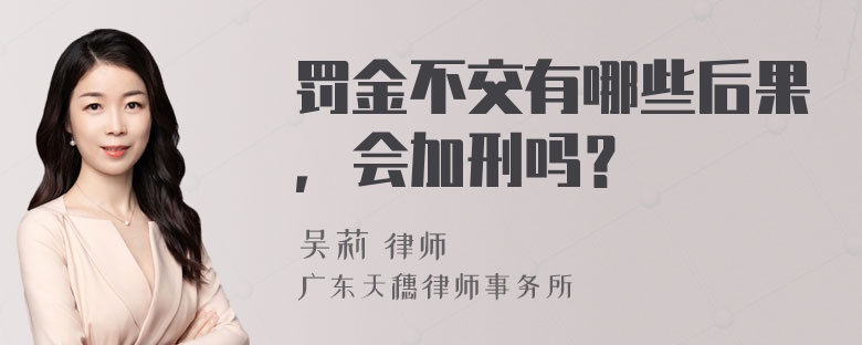 罚金不交有哪些后果，会加刑吗？