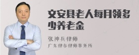 文安县老人每月领多少养老金