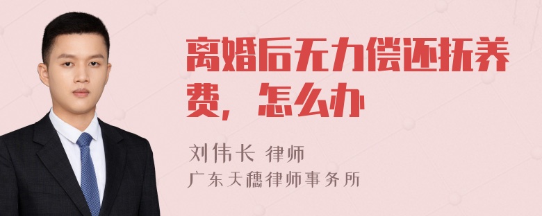 离婚后无力偿还抚养费，怎么办