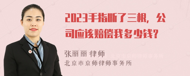 2023手指断了三根，公司应该赔偿我多少钱？