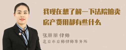 我现在想了解一下法院拍卖房产费用都有些什么