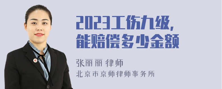 2023工伤九级，能赔偿多少金额