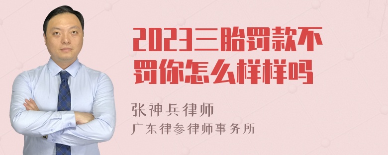 2023三胎罚款不罚你怎么样样吗