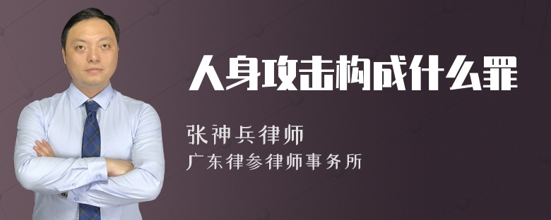 人身攻击构成什么罪