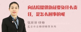 向法院提供伪证要负什么责任，是怎么回事的呢