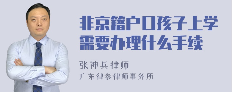 非京籍户口孩子上学需要办理什么手续