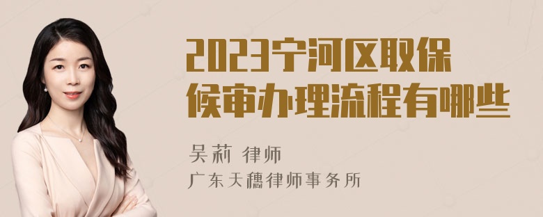 2023宁河区取保候审办理流程有哪些