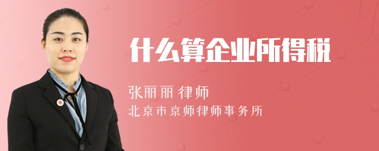什么算企业所得税