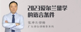 2023爱尔兰留学的语言条件