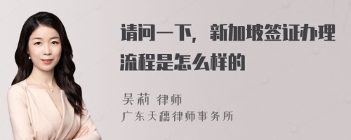 请问一下，新加坡签证办理流程是怎么样的