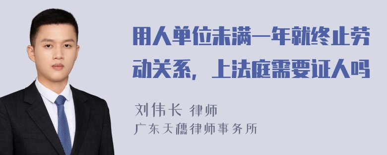 用人单位未满一年就终止劳动关系，上法庭需要证人吗