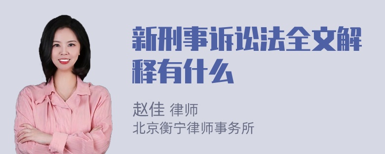 新刑事诉讼法全文解释有什么