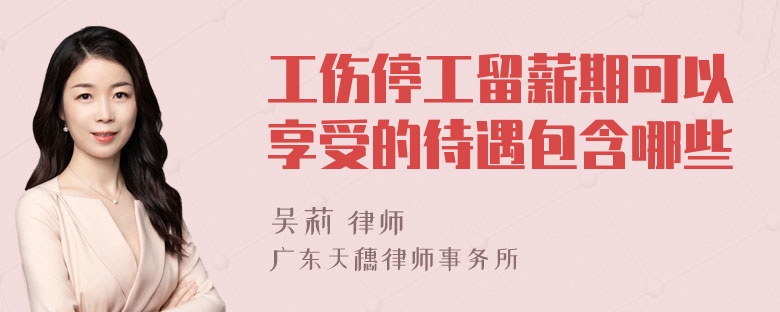 工伤停工留薪期可以享受的待遇包含哪些