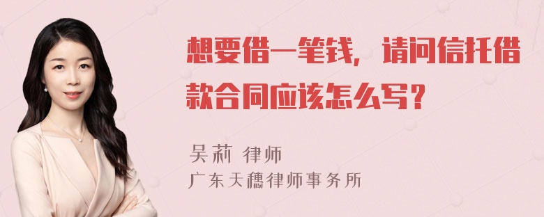 想要借一笔钱，请问信托借款合同应该怎么写？