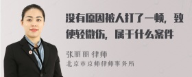 没有原因被人打了一顿，致使轻微伤，属于什么案件