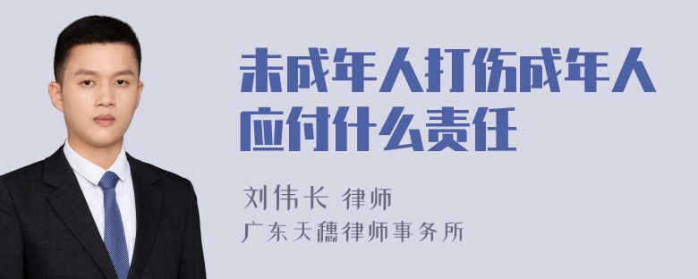 未成年人打伤成年人应付什么责任