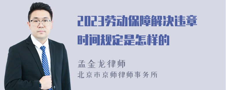 2023劳动保障解决违章时间规定是怎样的